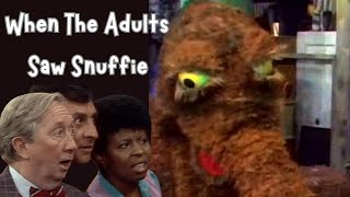 Celebrity The Importance of When the Adults Saw Snuffy on Sesame Street Wealth