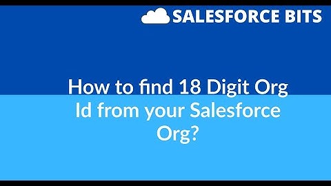 How to find 18 Digit Org Id ?