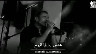 عمرو دياب 