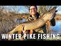 UK River Pike Fishing - Winter Lure Angling