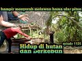 Hampir menyerah tapi kami tidak pasrah melawan hama ular warta petani muda hidup di hutan