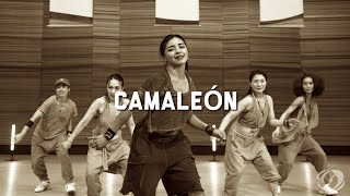 Camaleon Salsation Choreography By Smt Grace Kansai Sei Team