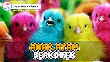 Anak Ayam Berkotek Kotek - Lagu Anak Balita Indonesia | Dodo Kids
