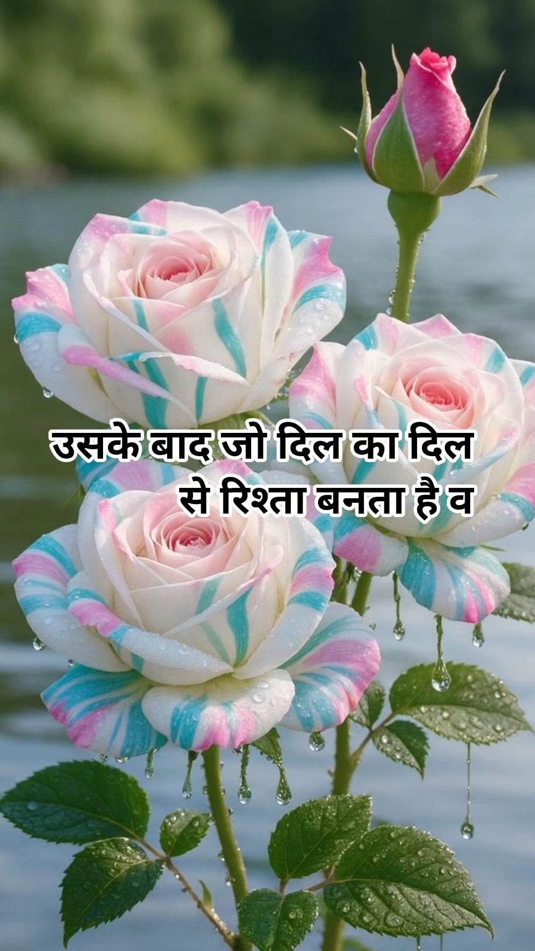 मोटिवेशनल - ShareChat