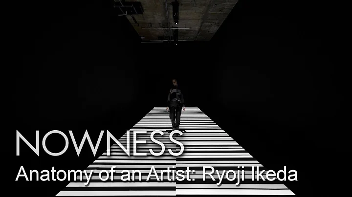 Ryoji Ikeda: a hypnotic audio-visual explosion