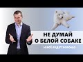 Не думай о белой собаке| ОРАТОРСКОЕ ИСКУССТВО | Невыполнимое задание Станиславского