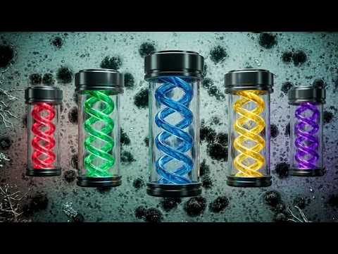 From Progenitor to the T-Requiem virus – All RE viruses for falling asleep