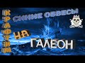 Как скрафтить синие обвесы для галеона в BDO