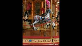 Carousel Florence Italy