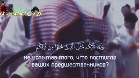 اية من سورة البقرة للقارئ الشيخ محمد اللحيدان حالات واتس اب 🧡🍃.