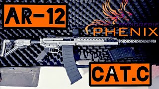 UN FUSIL D'ASSAUT CALIBRE 12 ! LE MH-TS12 à l'essai ! 