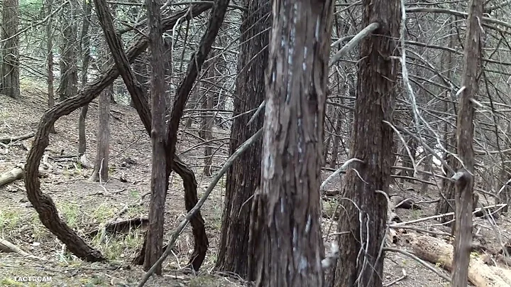 2022 Operation Freedom Outdoors annual turkey hunt