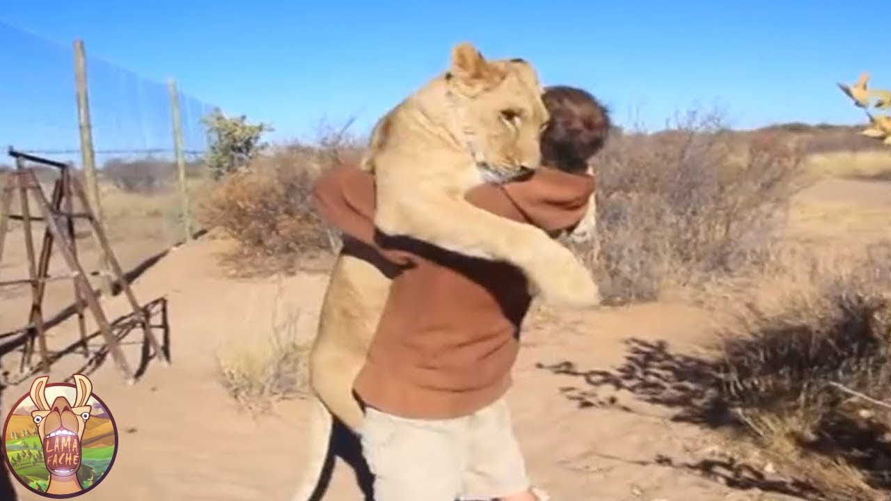 Regardez Les Relations Entre Ces Animaux Et Leurs Maitres !