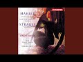 Miniature de la vidéo de la chanson Lieder Eines Fahrenden Gesellen: Iv. Die Zwei Blauen Augen Von Meinem Schatz…
