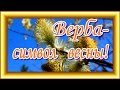 Верба символ весны! Поздравляю с вербным воскресеньем!