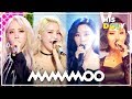 MAMAMOO Special ★Since 'Mr.Ambiguous' to 'HIP'★ (1h 30m Stage Compilation)