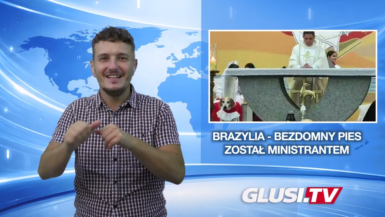 Brazylia - bezdomny pies został ministrantem