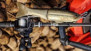 The Swimbait Set Up and How It Changed...