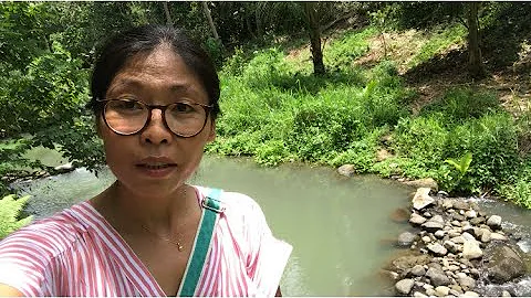 Vlog294: 3.5 HECTARE PROPERTY WITH CREEK FOR SALE ...