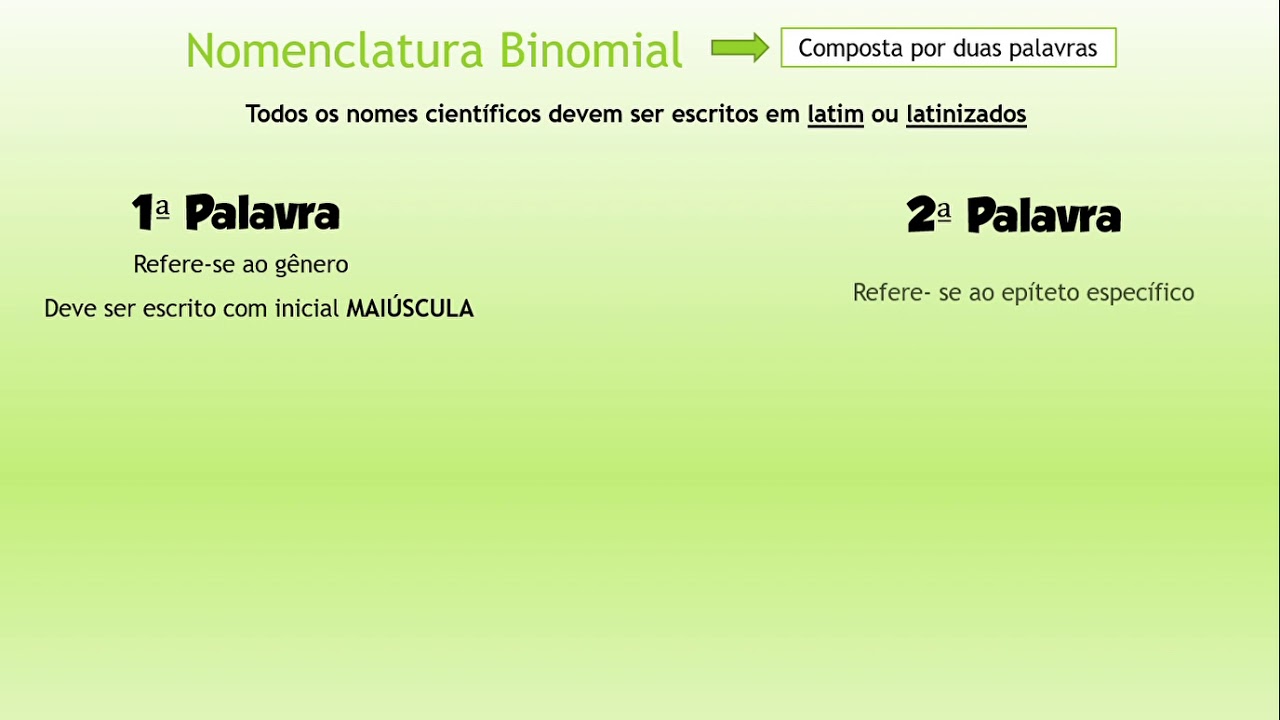 Mapa Mental Nomenclatura Binomial