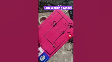 LDR working model class 12