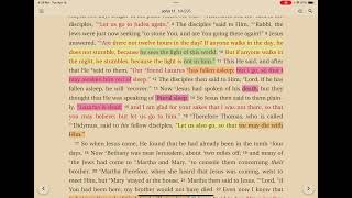 John Chapter 11: A quick study overview
