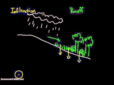 فيديو: لماذا يؤثر الغطاء النباتي على الجريان السطحي؟