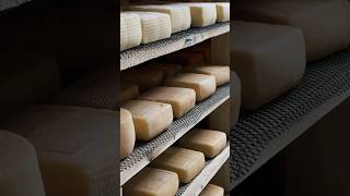 За последнюю неделю наши сыровары усердно трудились и приготовили для вас потрясающий сыр 🧀 #сыр