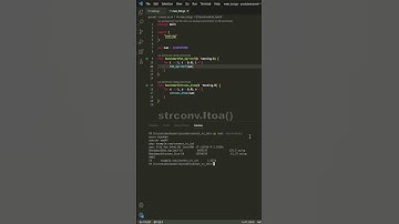 Fastest way converting integer to string in golang #shorts #golang #coding #programming