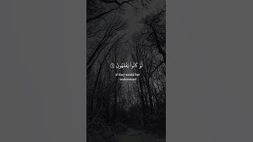 تلاوة عطرة من القارئ ماهر المعيقلي 🌿 #المصحف