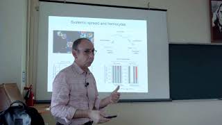 Raul Andino: Antiviral immunity in insects and the acquisition of endogenous viral elements