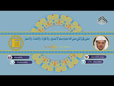 معنى قول النبي صلى الله عليه وسلم لا عدوى ولا طيرة ولا هامة ولا صفر