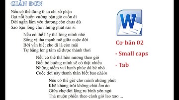 Học Word cơ bản Bài 2, How to use small caps in word , học word cho người mới bắt đầu