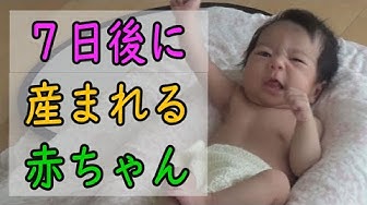 出産ドラマ Youtube 出産ドラマ Youtube