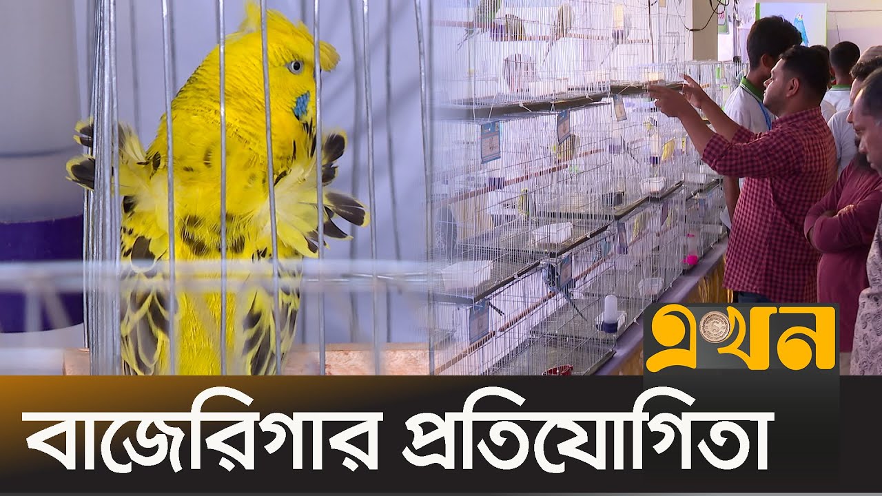 ব্লাক ফেইস বাজিগর, ছোট্ট একটি পাখির দাম দেড় লাখ টাকা | Birds Fair | Ekhon TV