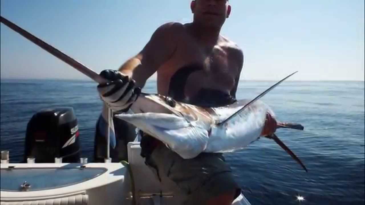 Sea fishing Algarve Portugal atlantic ocean, top vissen 30 km vanaf de