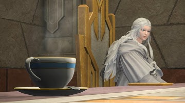 Champion From The Future | Final Fantasy XIV: Endwalker