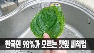 깻잎은 바르게 씻지 않으면 농약 범벅인데, 컵 하나면 몇주가 지나도 싱싱하게 보관할 수 있었네요