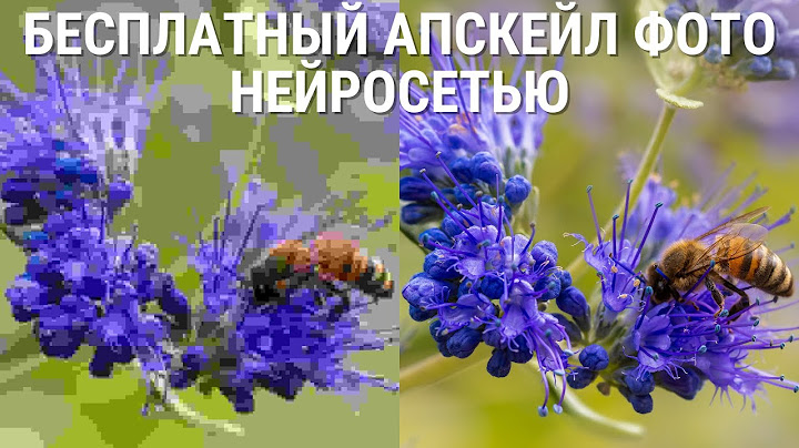 Как БЕСПЛАТНО сделать КАЧЕСТВЕННЫЙ апскейл фото нейросетью?