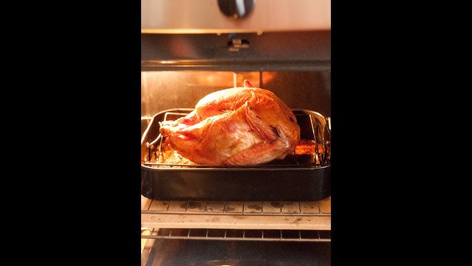 Master Thanksgiving with 6 Tips for the Perfect Turkey! - MEATER Blog