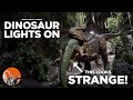 Dinosaur Lights ON and Evac - Disney's Animal Kingdom
