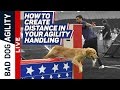 How to Create Distance in Your Agility Handling How to Create Distance in Your Agility Handling