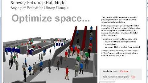Pedestrian Dynamics