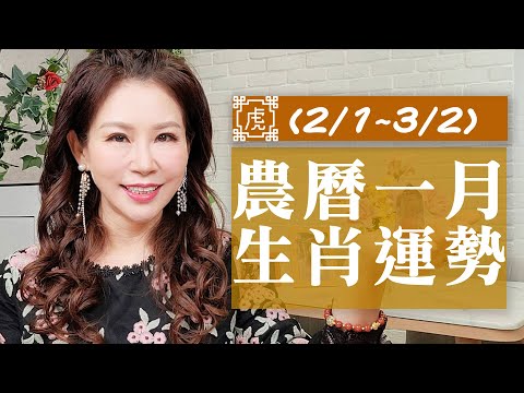 命理-雨揚樂活家族-EP 0015-2022壬寅水虎年農曆一月（2/1-3/2）｜生肖運勢月報