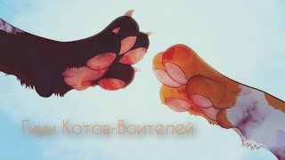 картинка: Гимн Котов-Воителей