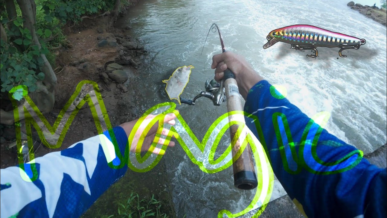 Ultralight Setup वर काढले भरपुर मासे | Caught many Fishes using Ultralight Setup | MAGIC Lure Part 2