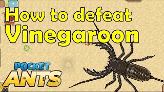 How to defeat Vinegaroon - Pocket Ants - Smart Daddy