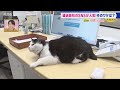 SNSでバズる運送会社 謎の敏腕広報とは?