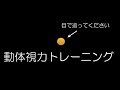 動体視力トレーニングPART11/プロ級！高レベルに挑戦！スポーツのビジョントレーニングに！/DJ BENGAKU