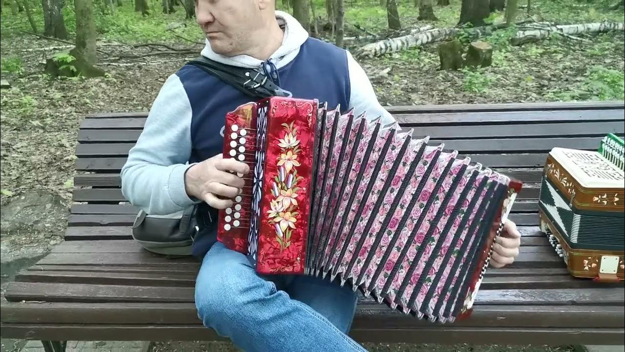 Игра на рояльной гармошке видео. Матаня это. Матаня это. Матаня на гармони. Матаня ноты для баяна.